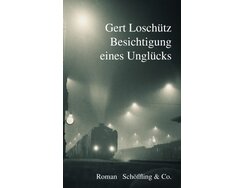 Besichtigung eines Unglücks