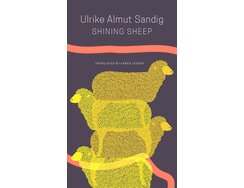 Shining Sheep Cover