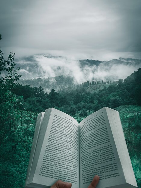 Buch vor Blick auf Berge